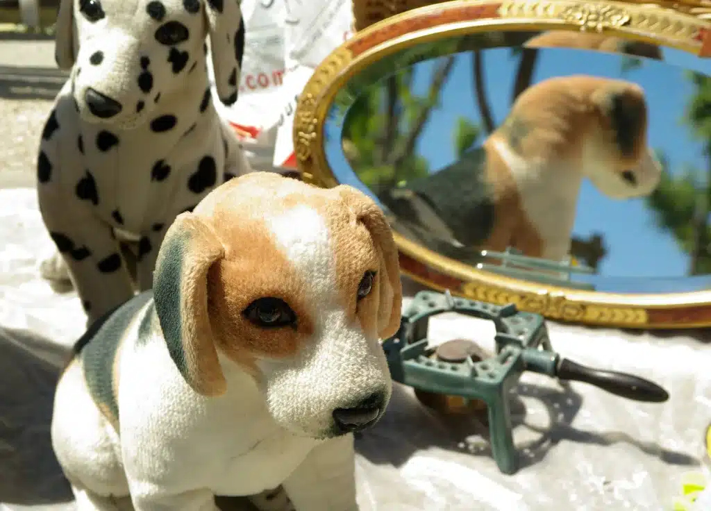 Lire la suite de l'actualité Brocante de Fournival